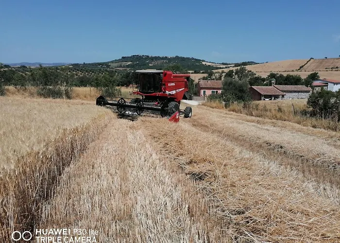 Villa Piane Del Bagno Saturnia